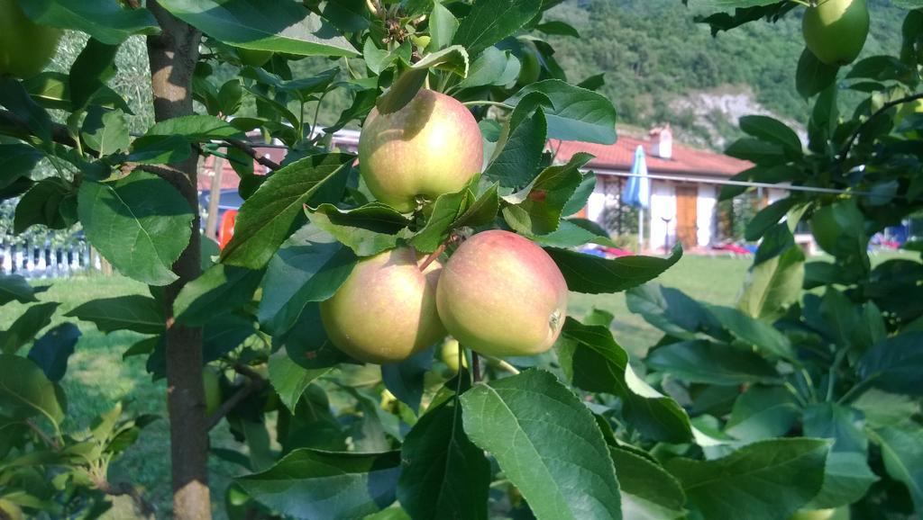 Agriturismo Trefrutti Arco Ngoại thất bức ảnh