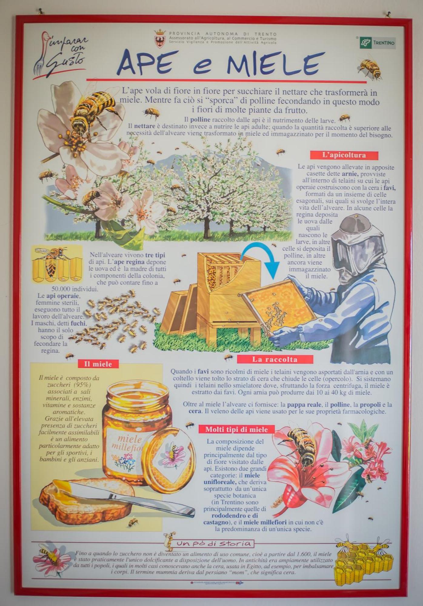 Agriturismo Trefrutti Arco Ngoại thất bức ảnh