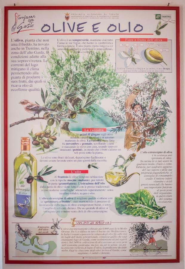 Agriturismo Trefrutti Arco Ngoại thất bức ảnh