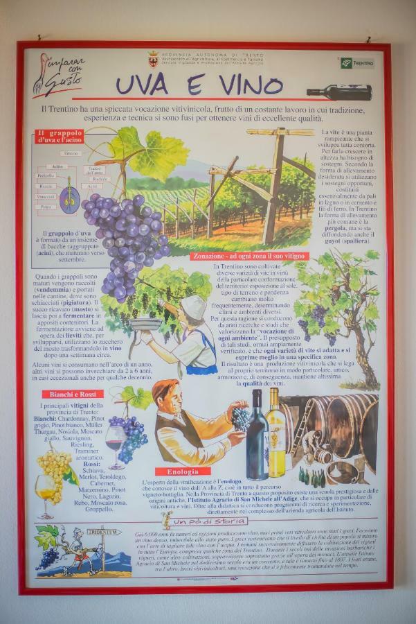Agriturismo Trefrutti Arco Ngoại thất bức ảnh